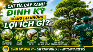 Cắt tỉa cây xanh định kỳ mang lại những lợi ích gì?