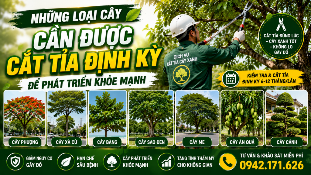 Những loại cây cần được cắt tỉa định kỳ để phát triển khỏe mạnh