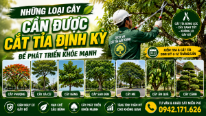Những loại cây cần được cắt tỉa định kỳ để phát triển khỏe mạnh